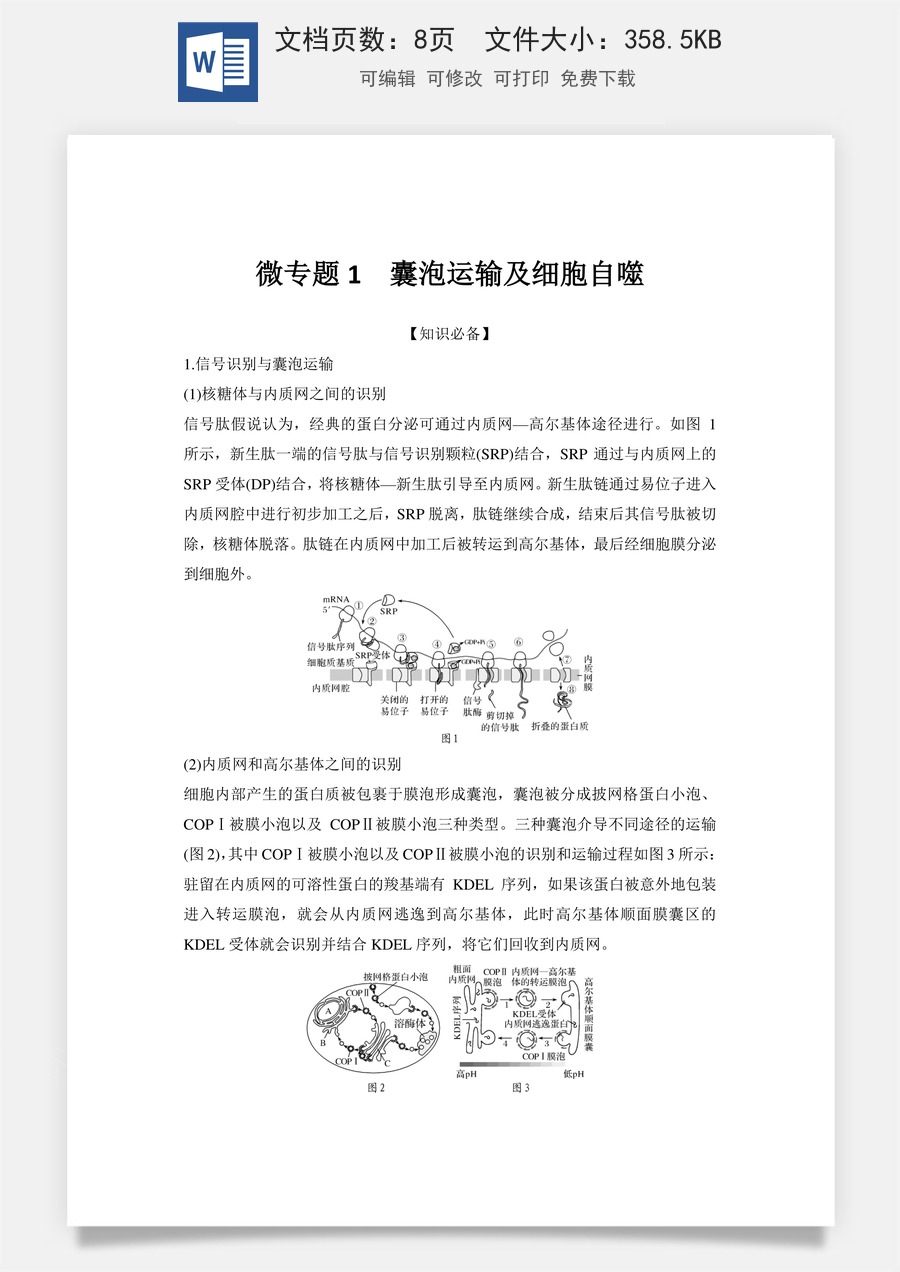 高中-高考总复习-生物-微专题1　囊泡运输及细胞自噬.doc
